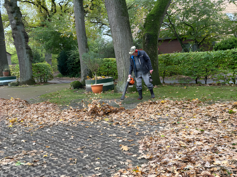 Bild der Woche Bild der Woche