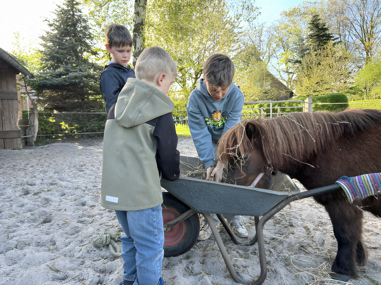 Bild der Woche