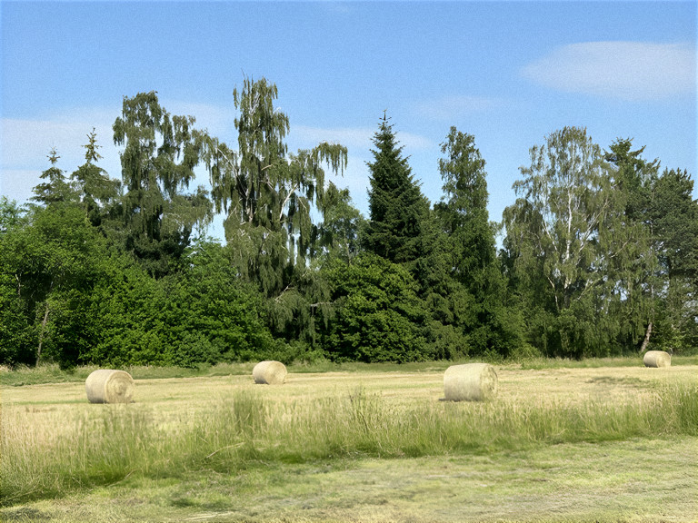 Bild der Woche