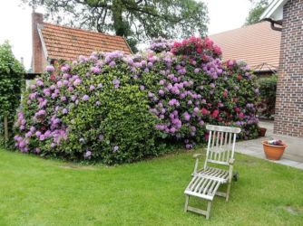 Garten- und Hof-Impressionen