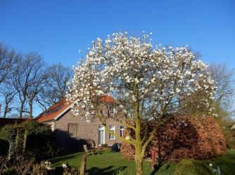 Garten- und Hof-Impressionen