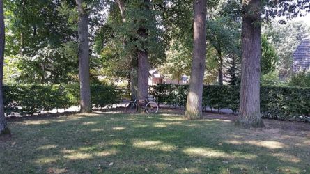 Garten- und Hof-Impressionen
