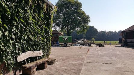 Garten- und Hof-Impressionen