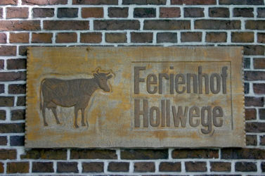 Garten- und Hof-Impressionen
