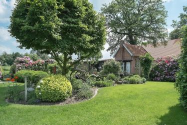 Garten- und Hof-Impressionen
