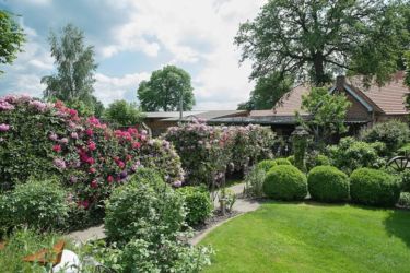 Garten- und Hof-Impressionen