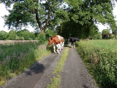 Ferienhof Hollwege - Landschaftsimpressionen