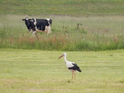 Ferienhof Hollwege - Landschaftsimpressionen