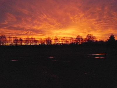 Ferienhof Hollwege - Landschaftsimpressionen