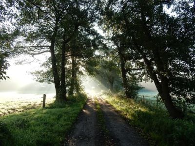 Ferienhof Hollwege - Landschaftsimpressionen