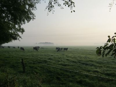Ferienhof Hollwege - Landschaftsimpressionen