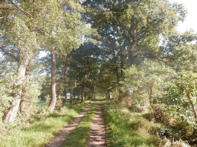 Ferienhof Hollwege - Landschaftsimpressionen