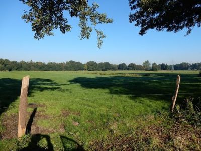 Ferienhof Hollwege - Landschaftsimpressionen