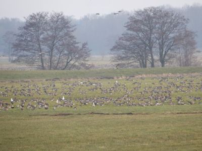 Ferienhof Hollwege - Landschaftsimpressionen