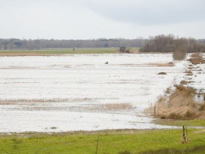 Ferienhof Hollwege - Landschaftsimpressionen