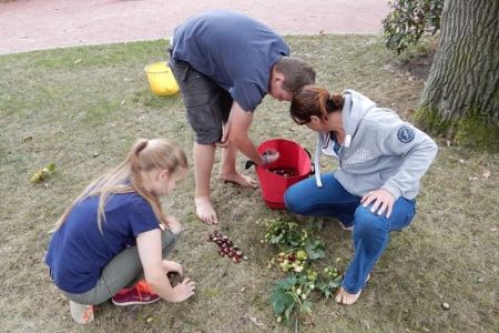 Spielplätze und kindgerechte Aktivitäten auf dem Hof