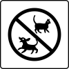 No animals