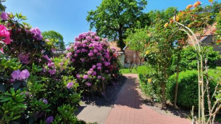 Garten- und Hof-Impressionen