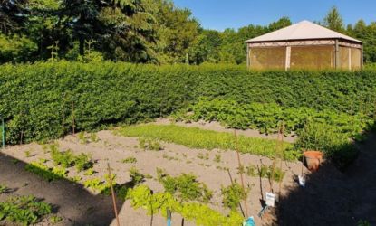 Garten- und Hof-Impressionen