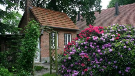 Garten- und Hof-Impressionen