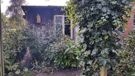 Garten- und Hof-Impressionen
